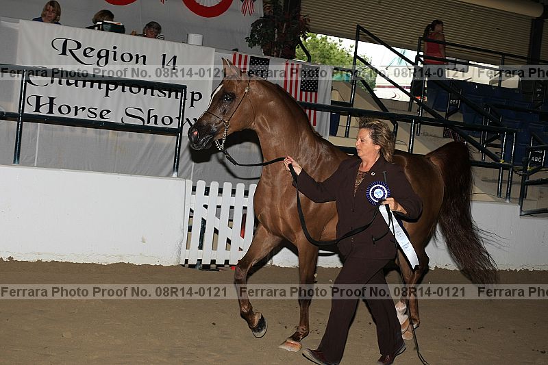 Proof Number 08r14-0121