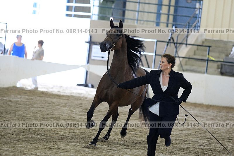 Proof Number 08r14-0143