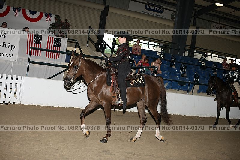 Proof Number 08r14-0378