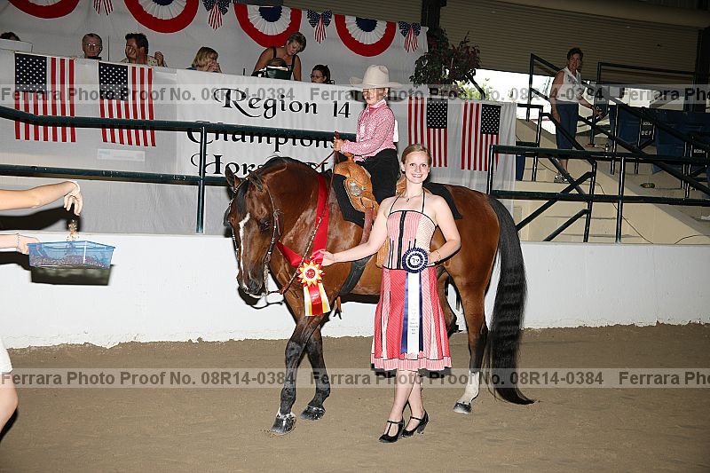 Proof Number 08r14-0384