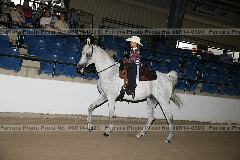 Proof Number 08r14-0393