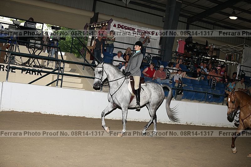 Proof Number 08r14-1317