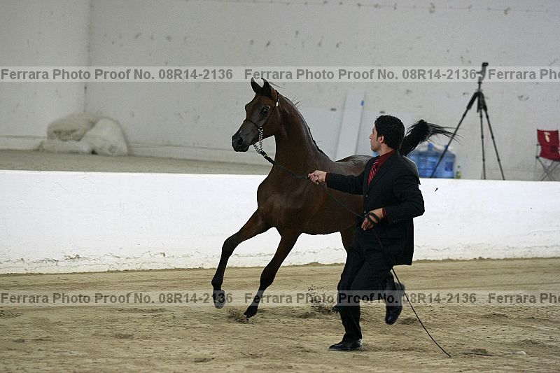 Proof Number 08r14-2136