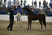 08r14-2179 thumbnail