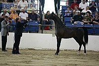 08r14-2194 thumbnail