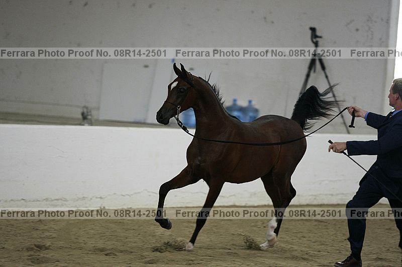 Proof Number 08r14-2501