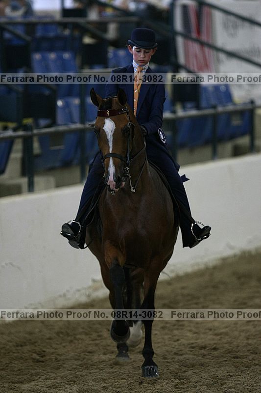 Proof Number 08r14-3082