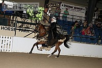 08r14-2887 thumbnail