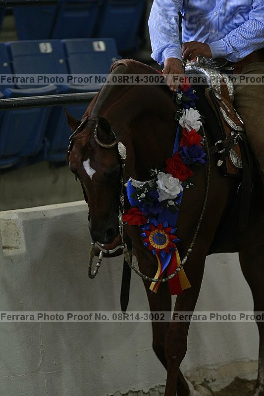 Proof Number 08r14-3002
