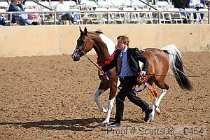 scotts08__0454 thumbnail