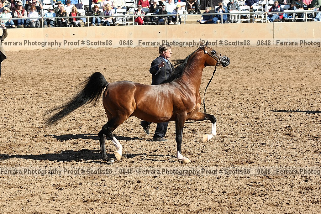 Proof Number scotts08__0648