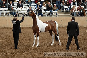 scotts08__0848 thumbnail