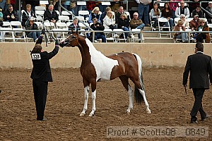 scotts08__0849 thumbnail