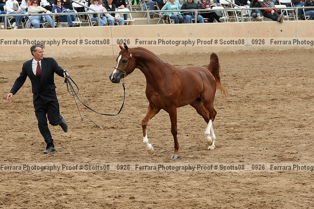 Proof Number scotts08__0926