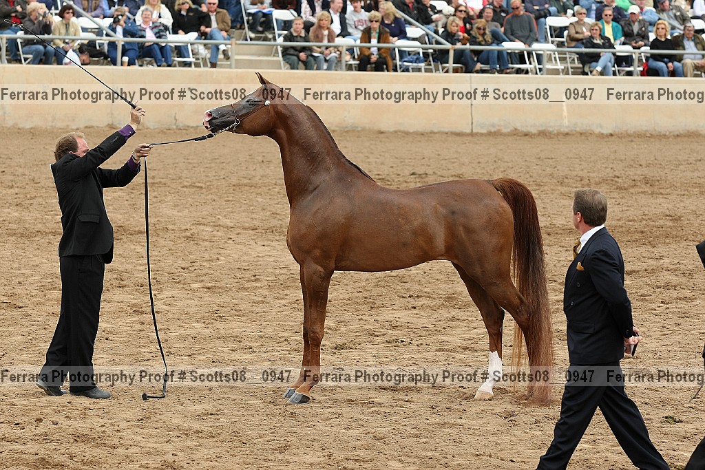 Proof Number scotts08__0947