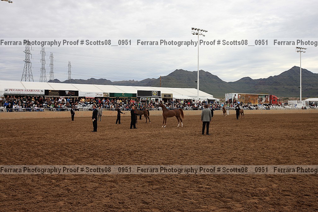 Proof Number scotts08__0951