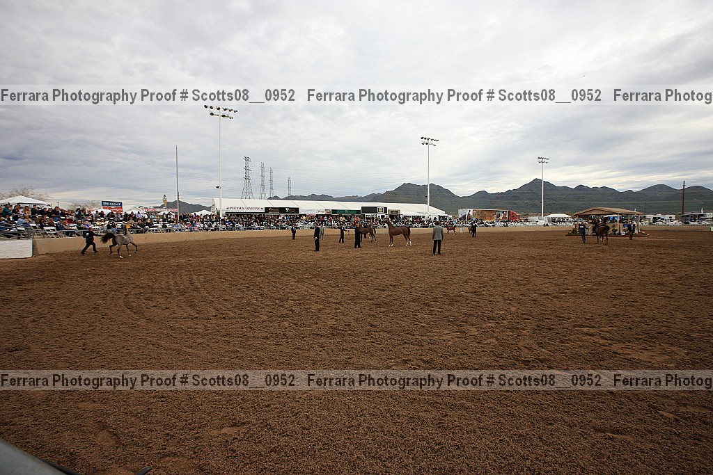 Proof Number scotts08__0952
