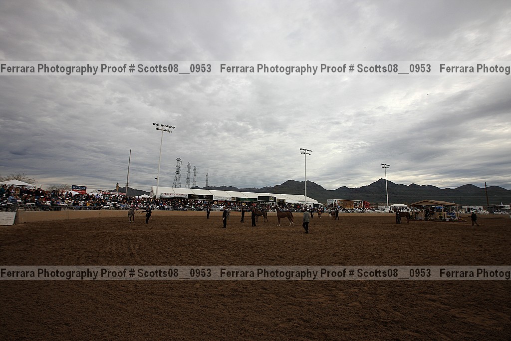 Proof Number scotts08__0953