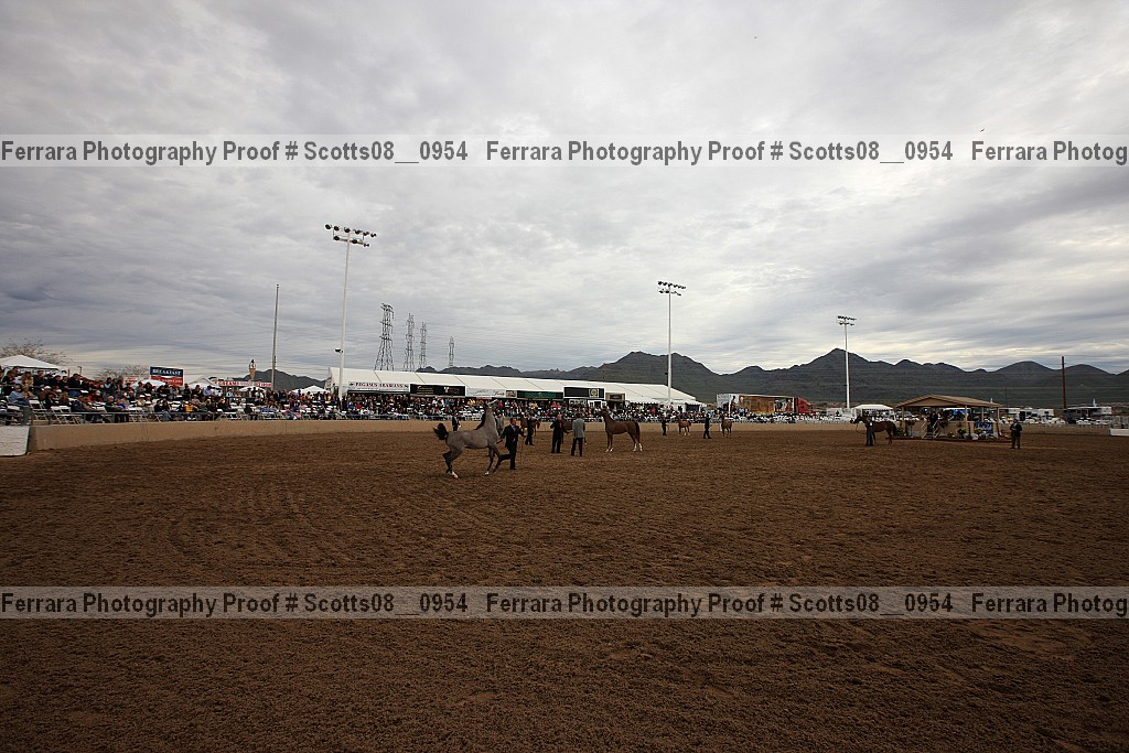 Proof Number scotts08__0954