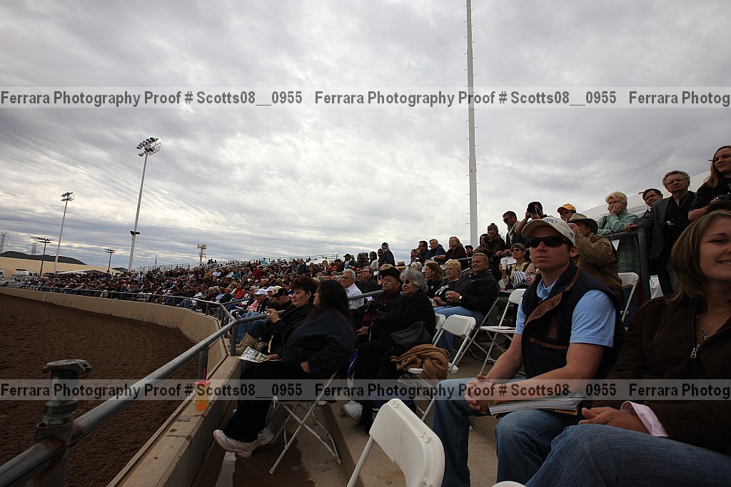 Proof Number scotts08__0955