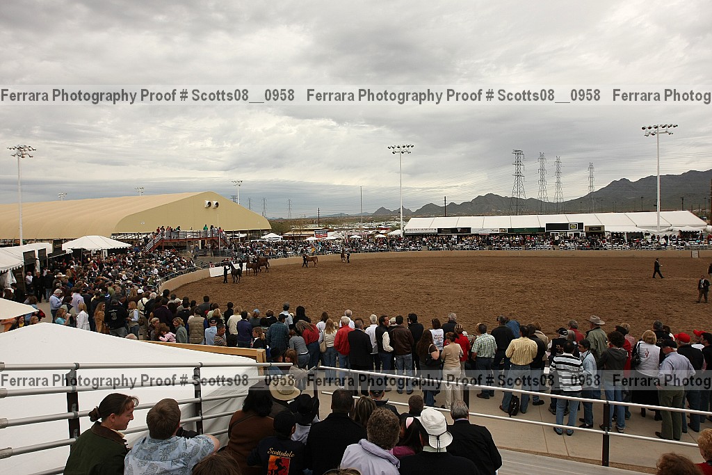 Proof Number scotts08__0958