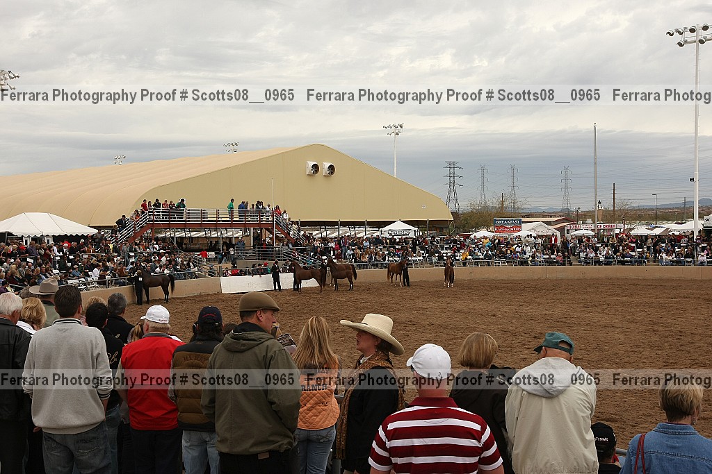 Proof Number scotts08__0965