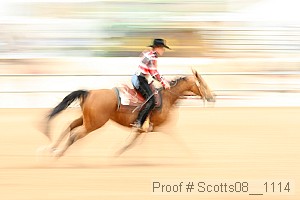 scotts08__1114 thumbnail