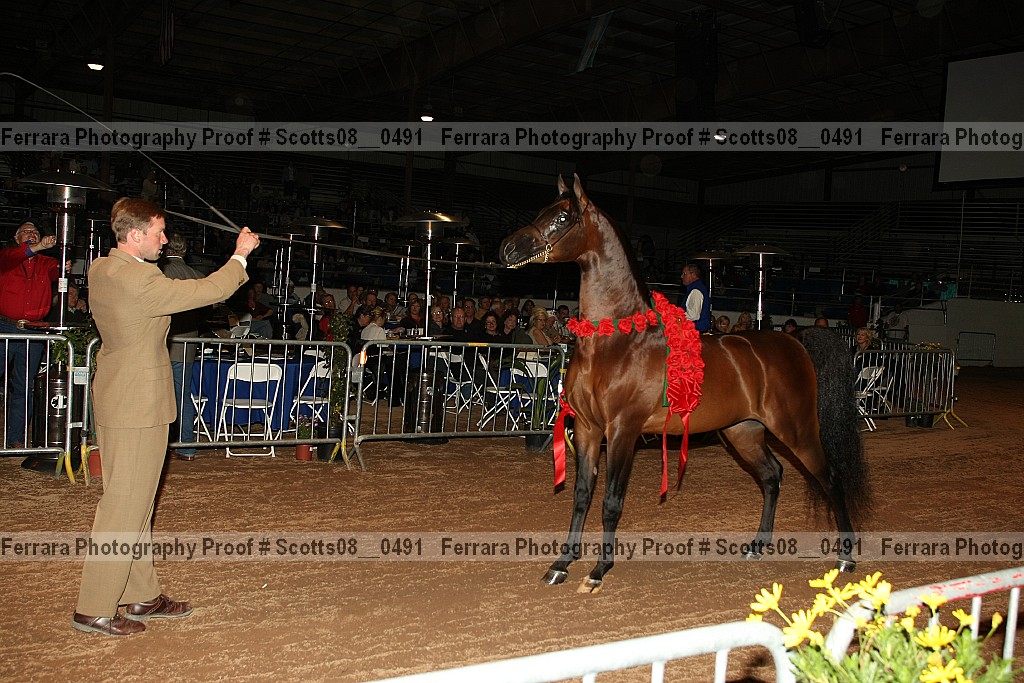 Proof Number scotts08__0491