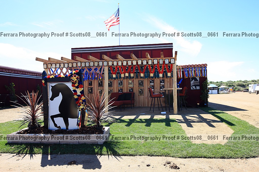 Proof Number scotts08__0661