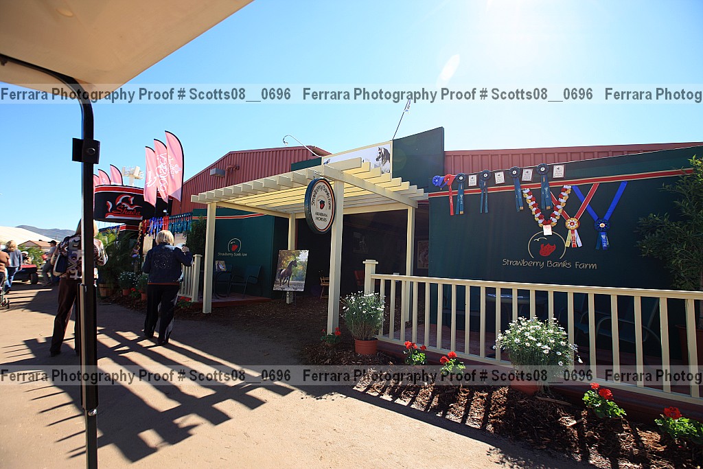 Proof Number scotts08__0696