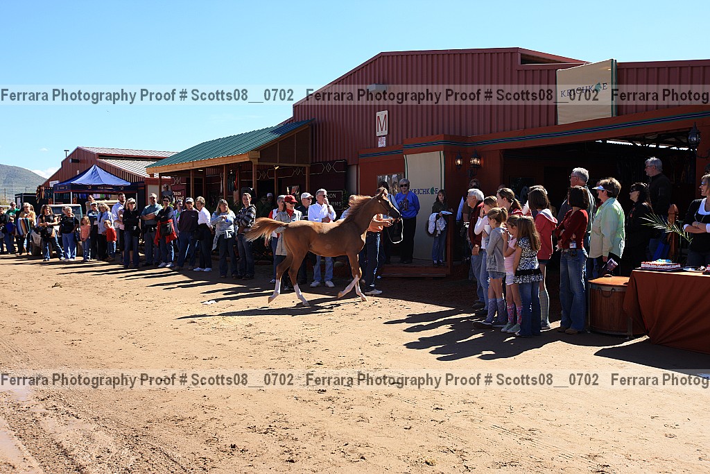 Proof Number scotts08__0702