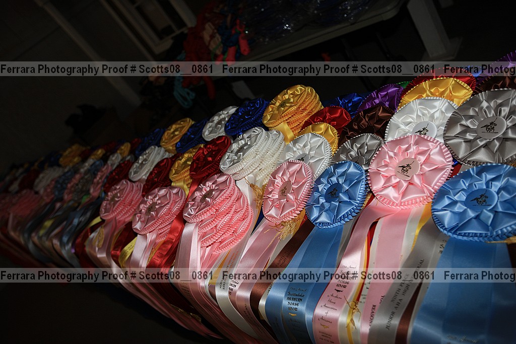 Proof Number scotts08__0861