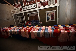 scotts08__0862 thumbnail