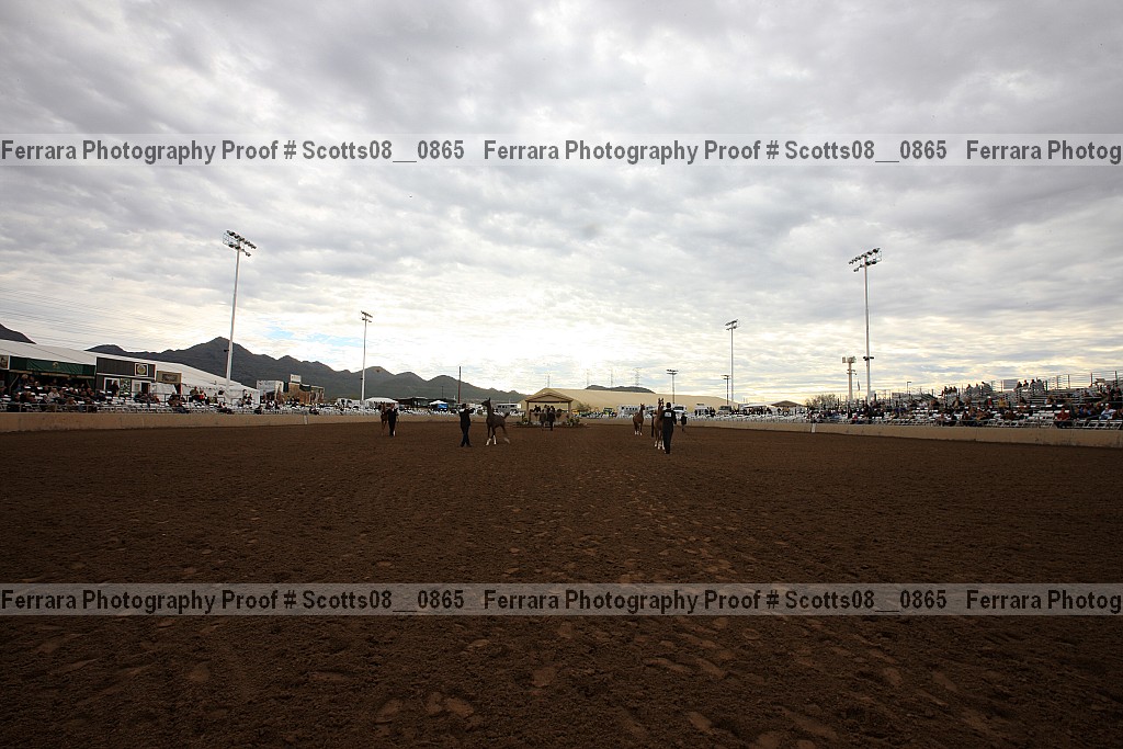 Proof Number scotts08__0865