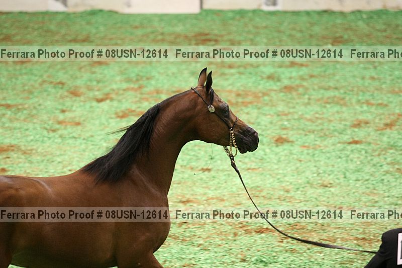 Proof Number 08usn-12614