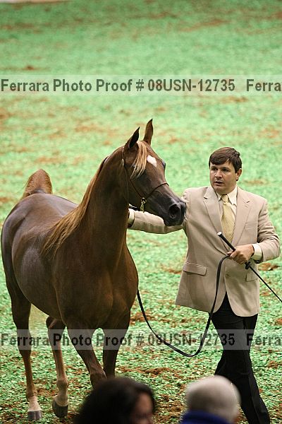 Proof Number 08usn-12735