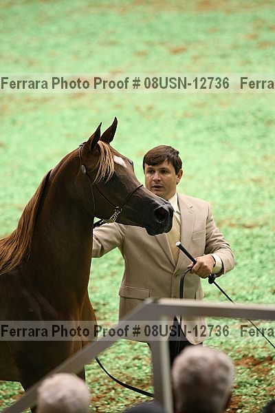 Proof Number 08usn-12736
