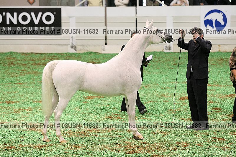 Proof Number 08usn-11682