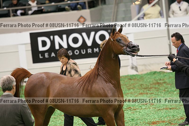 Proof Number 08usn-11716