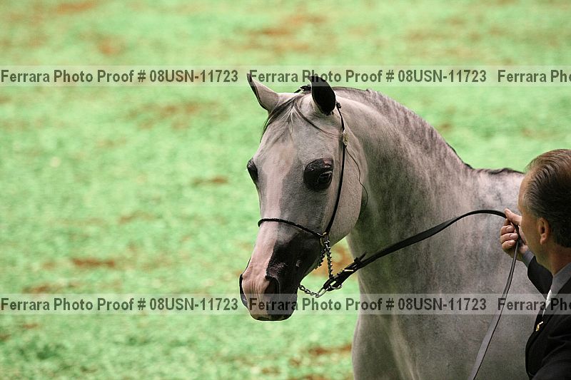 Proof Number 08usn-11723