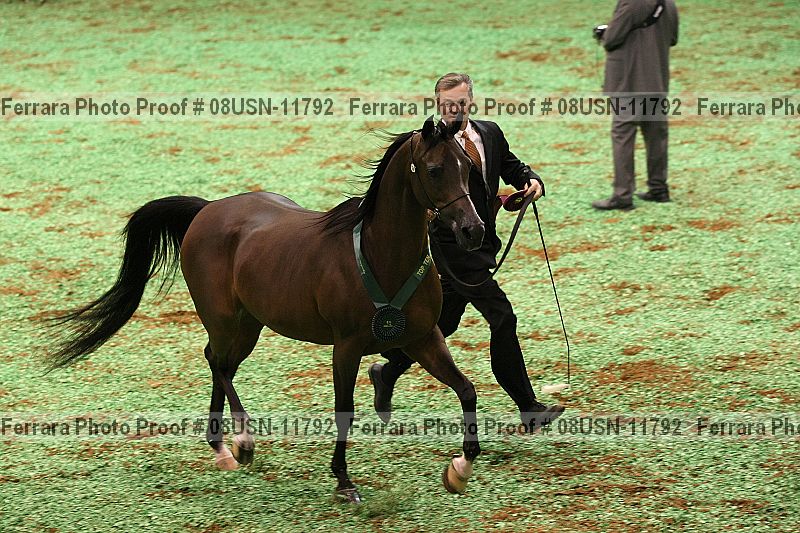 Proof Number 08usn-11792
