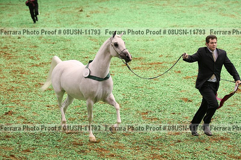 Proof Number 08usn-11793