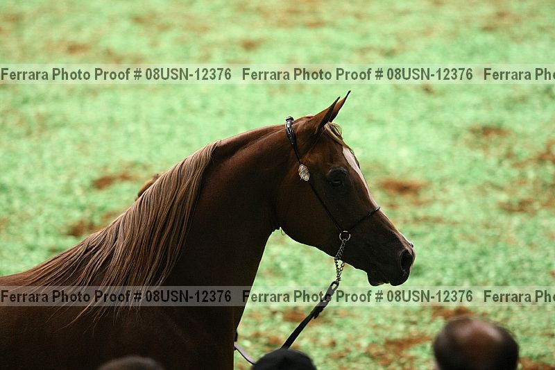Proof Number 08usn-12376