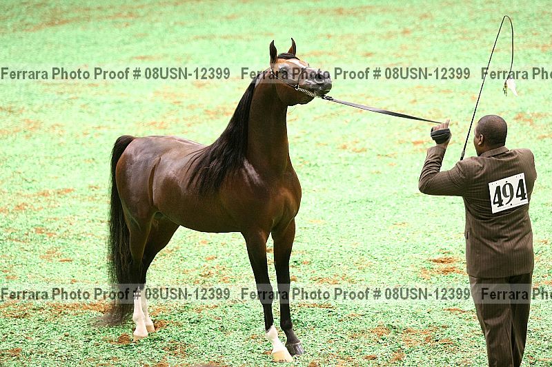 Proof Number 08usn-12399