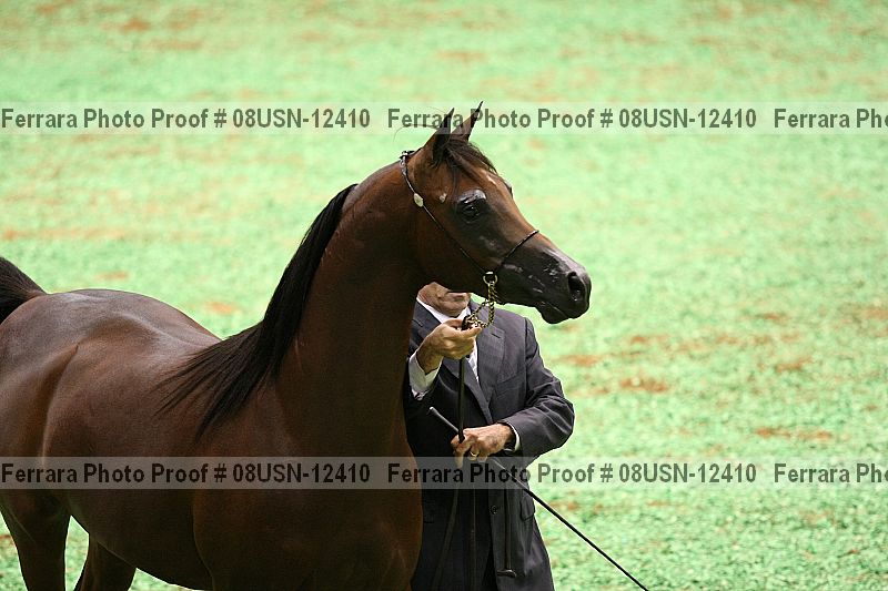 Proof Number 08usn-12410