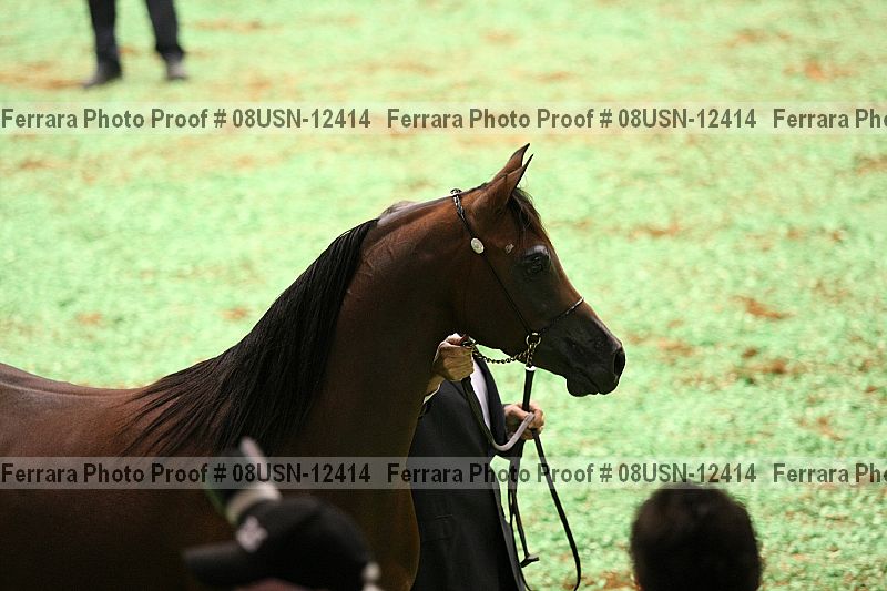 Proof Number 08usn-12414