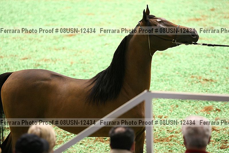 Proof Number 08usn-12434