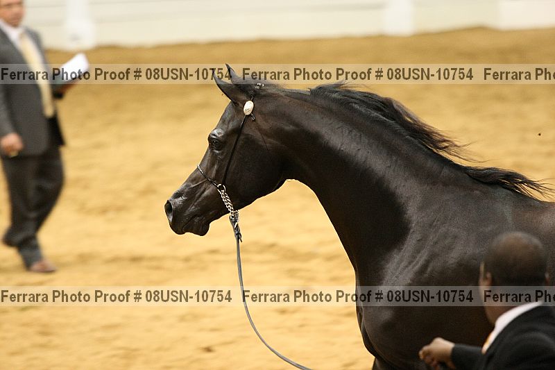 Proof Number 08usn-10754
