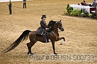 08usn-s00733 thumbnail