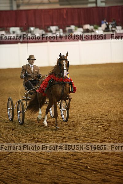 Proof Number 08usn-s16956